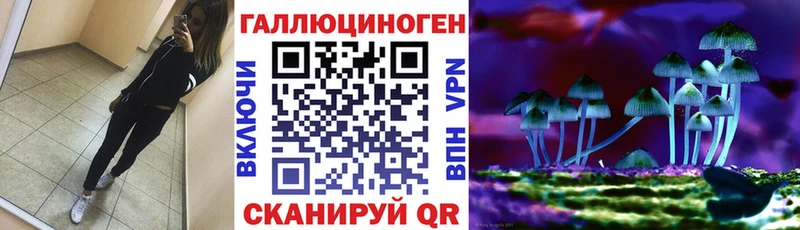 Галлюциногенные грибы Psilocybine cubensis  Купить  Краснокамск 